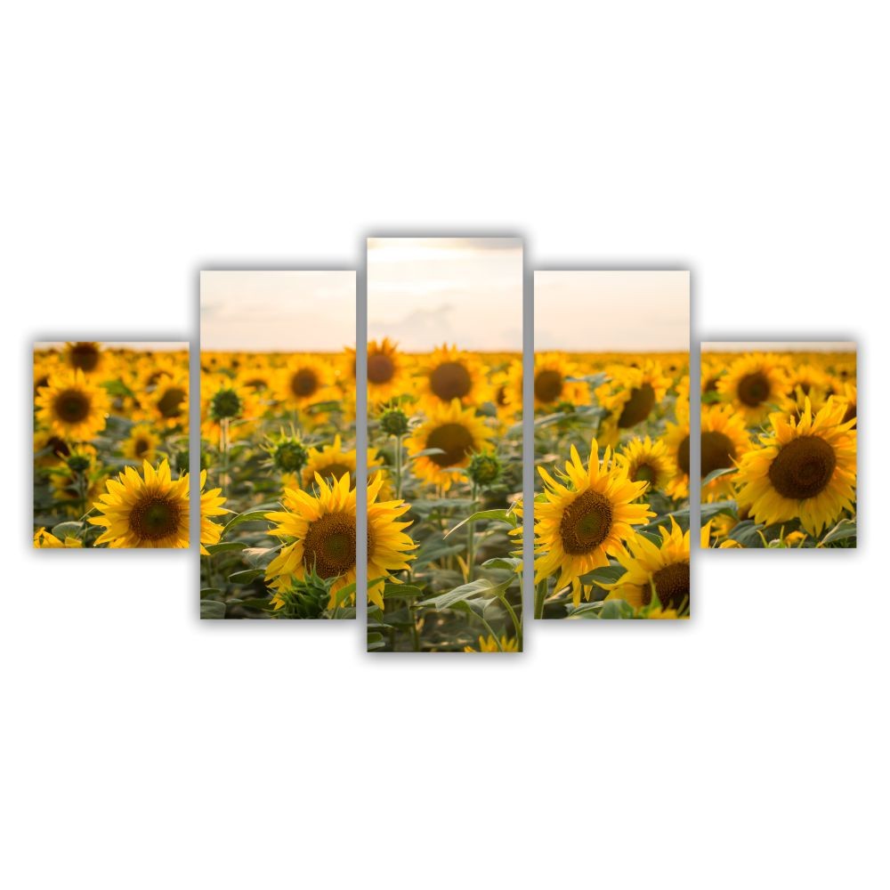 Quadro decorativo Campo de Girassóis - Quadros Decorativos para Sala | Display de Festa Infantil